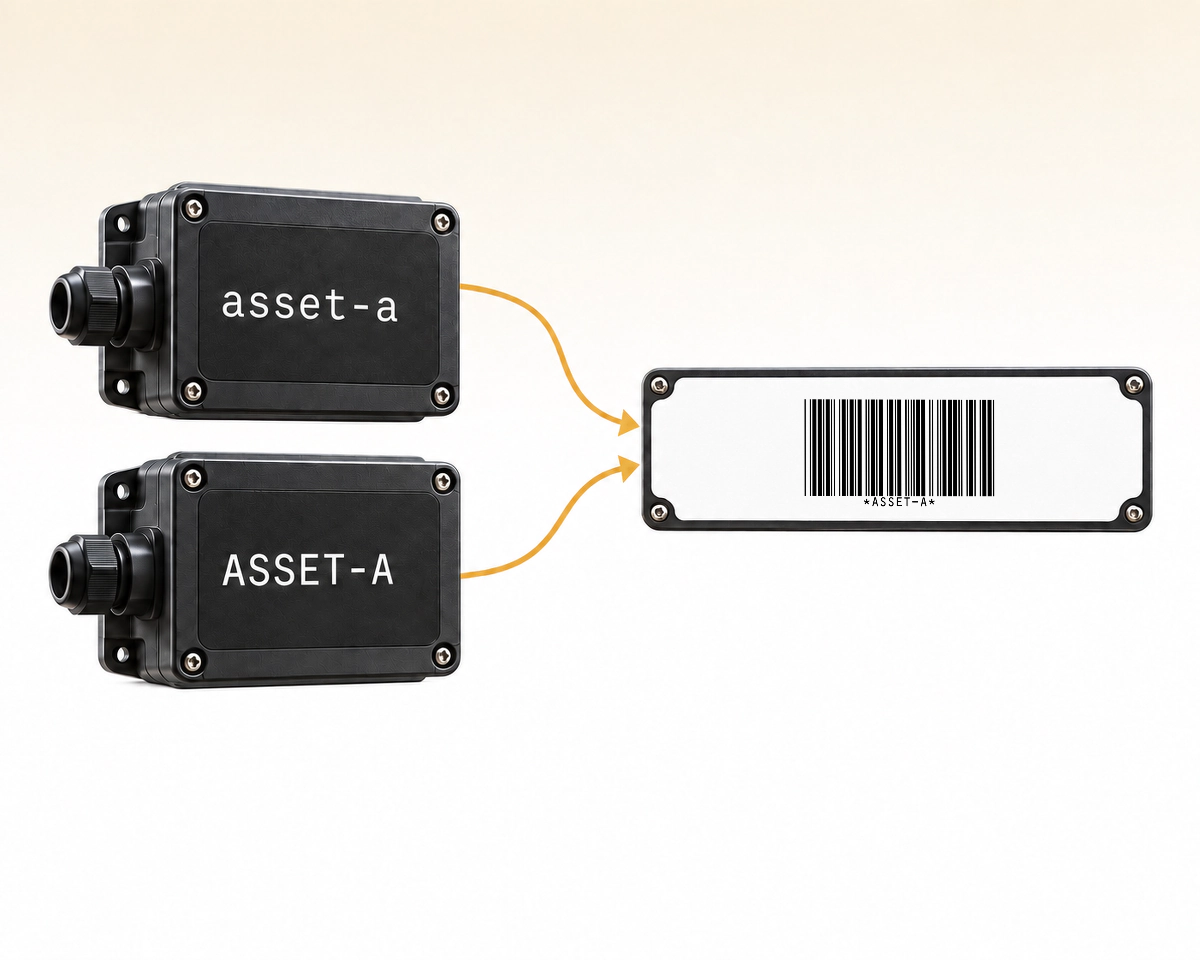 輸入值 asset-a 和 ASSET-A 都被轉換為相同的 ASSET-A。